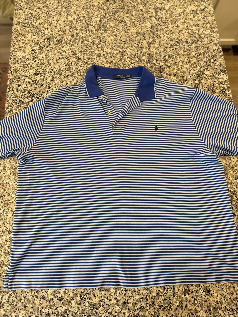 Polo by Ralph Lauren Blue and White Striped Polo